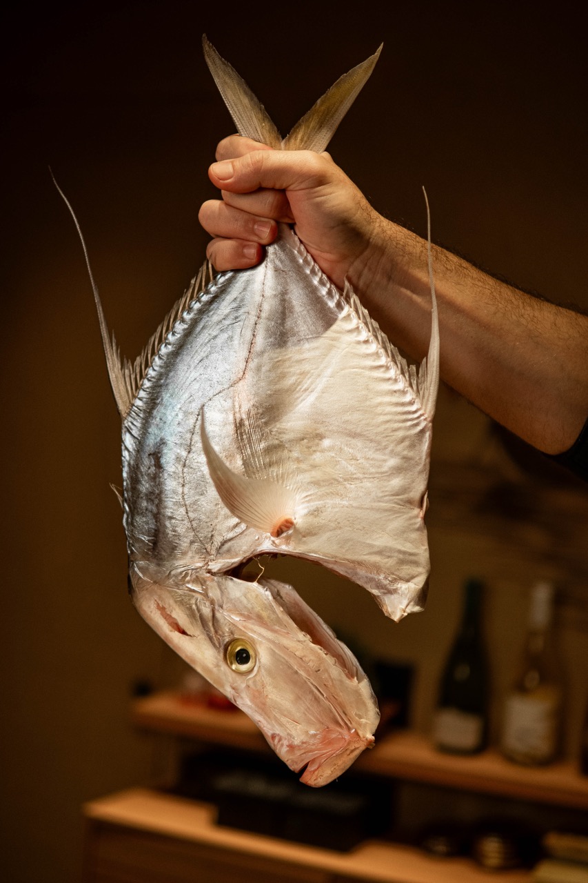 Chef segurando peixe inteiro recém-preparado